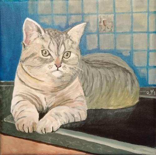 Kater Lou