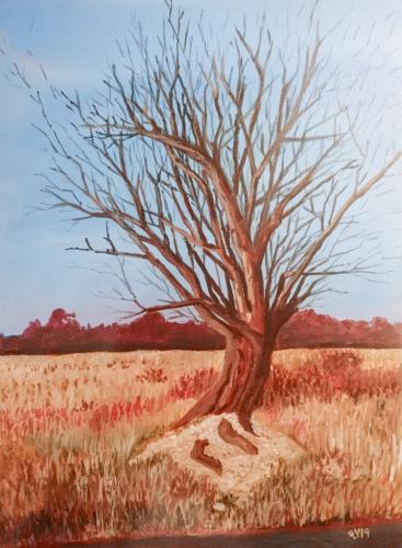 Der einsame Baum am Werbeliner See